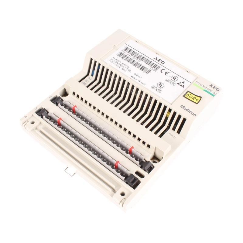 Schneider 170BAM09600 Analog I/