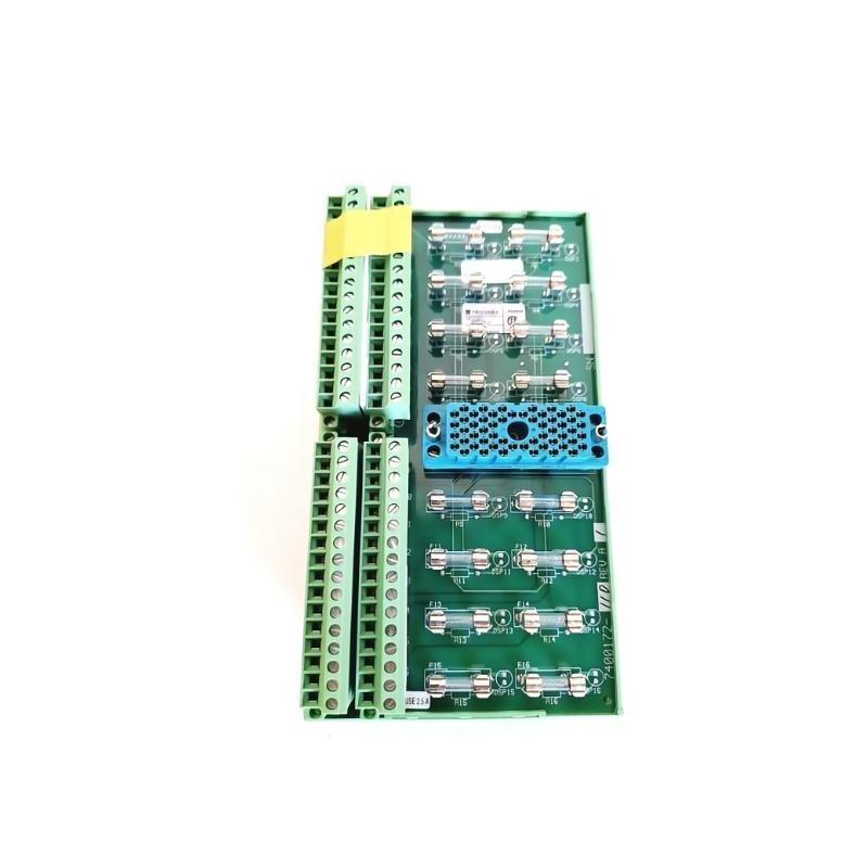 Triconex 9668-1 3000590-110 Ter