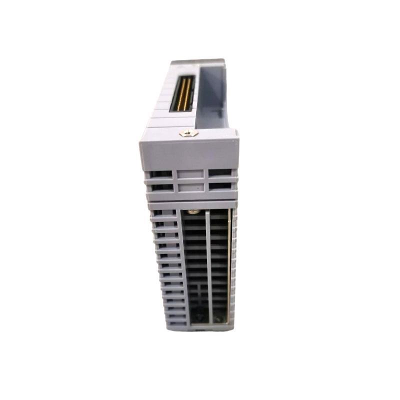 Yokogawa AAI143-H50/A4S10 Analo