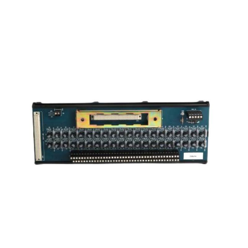ICS Triplex T8830 Analog Input Module