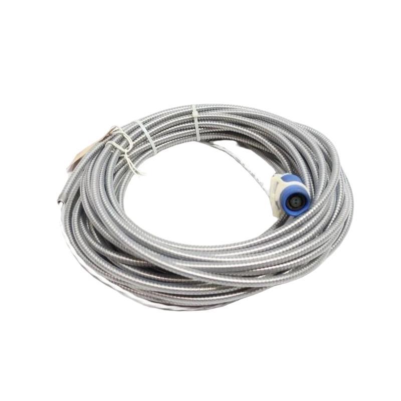 Bently Nevada 106765-06 Interco