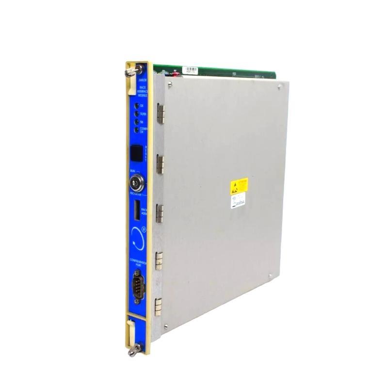 Bently Nevada 3500/20 125744-02+125768-01 Rack Interface Module