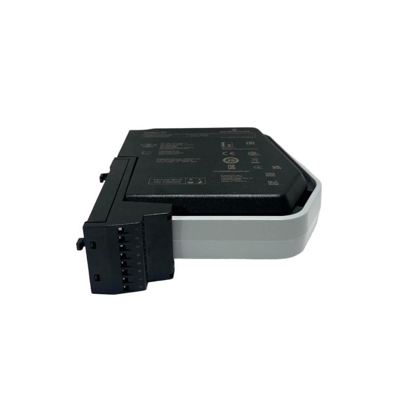 Emerson SE4003S2B1 Analog Input