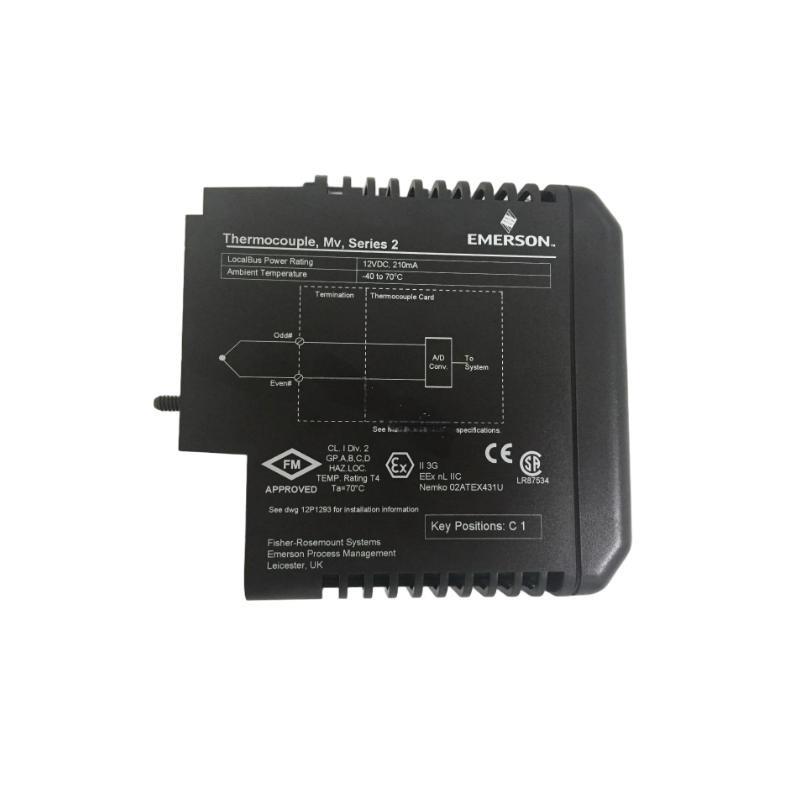 Emerson VE4003S5B1 Thermocouple
