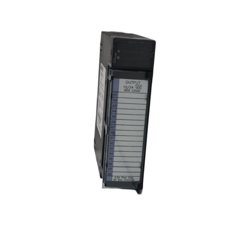GE IC693MDL741G Positive/Negati